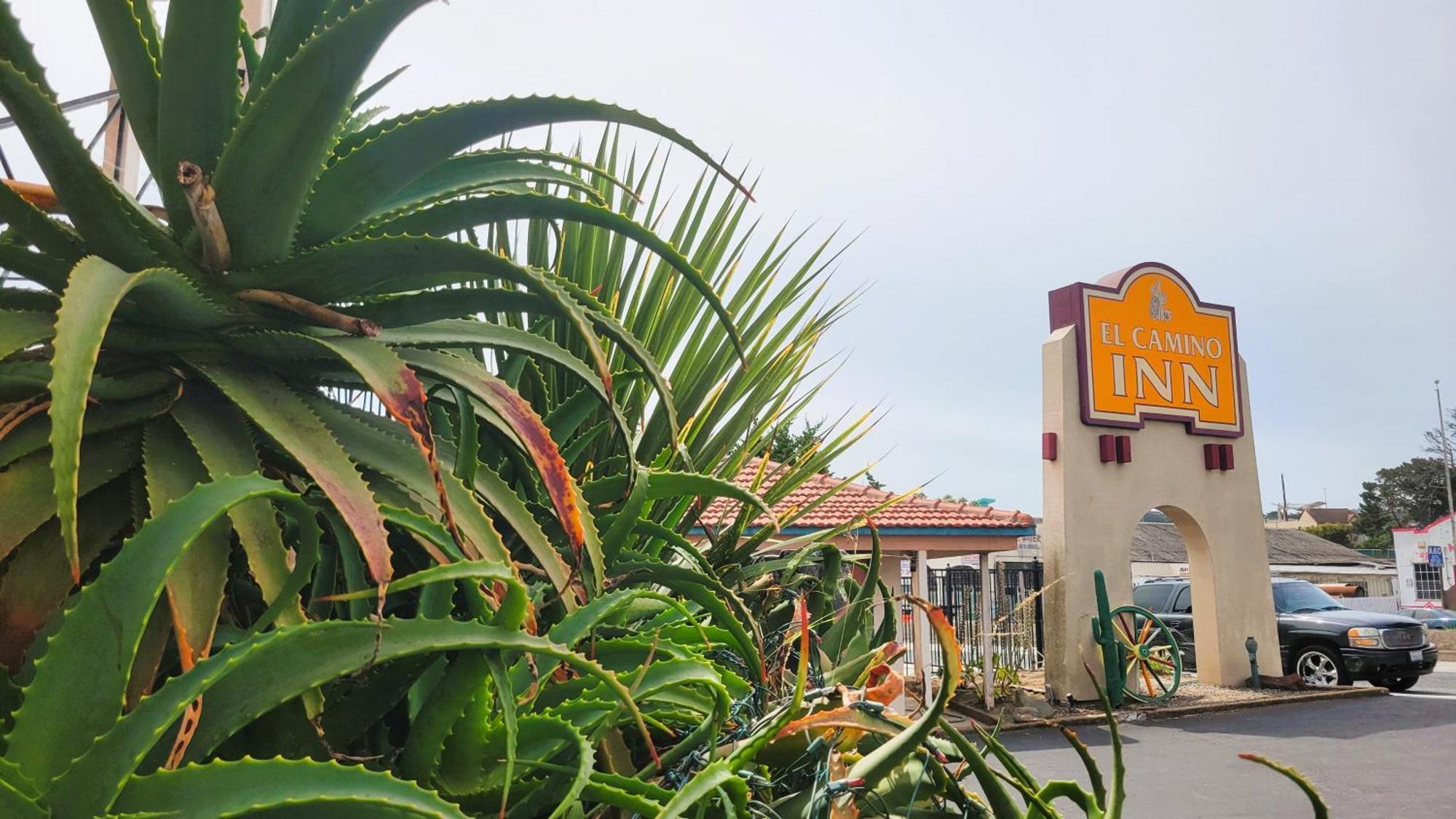 El Camino Inn Daly City Exterior photo